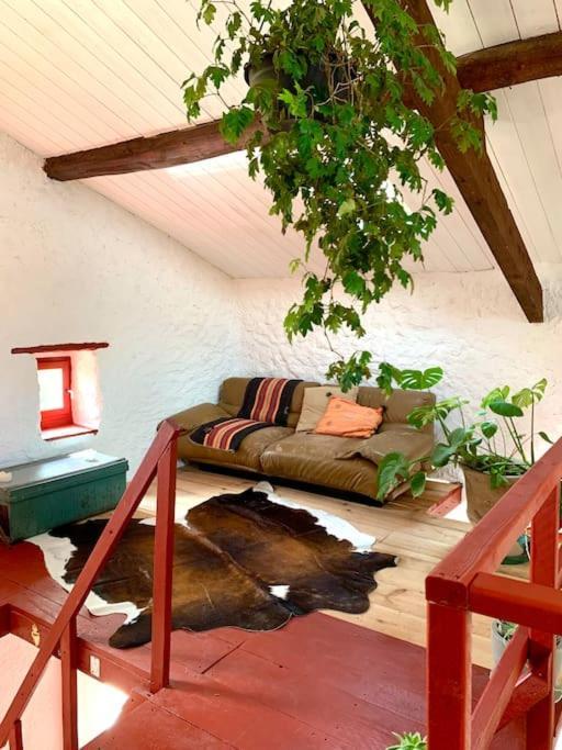 Bergerie Geldi Leku Villa Saint-Jean-le-Vieux  Kültér fotó